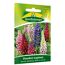 Samenpackung Stauden-Lupinen Russel-Mischung