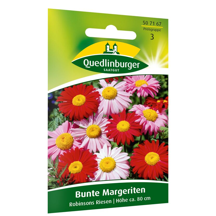 Bunte Margeriten 'Robinsons Riesen'