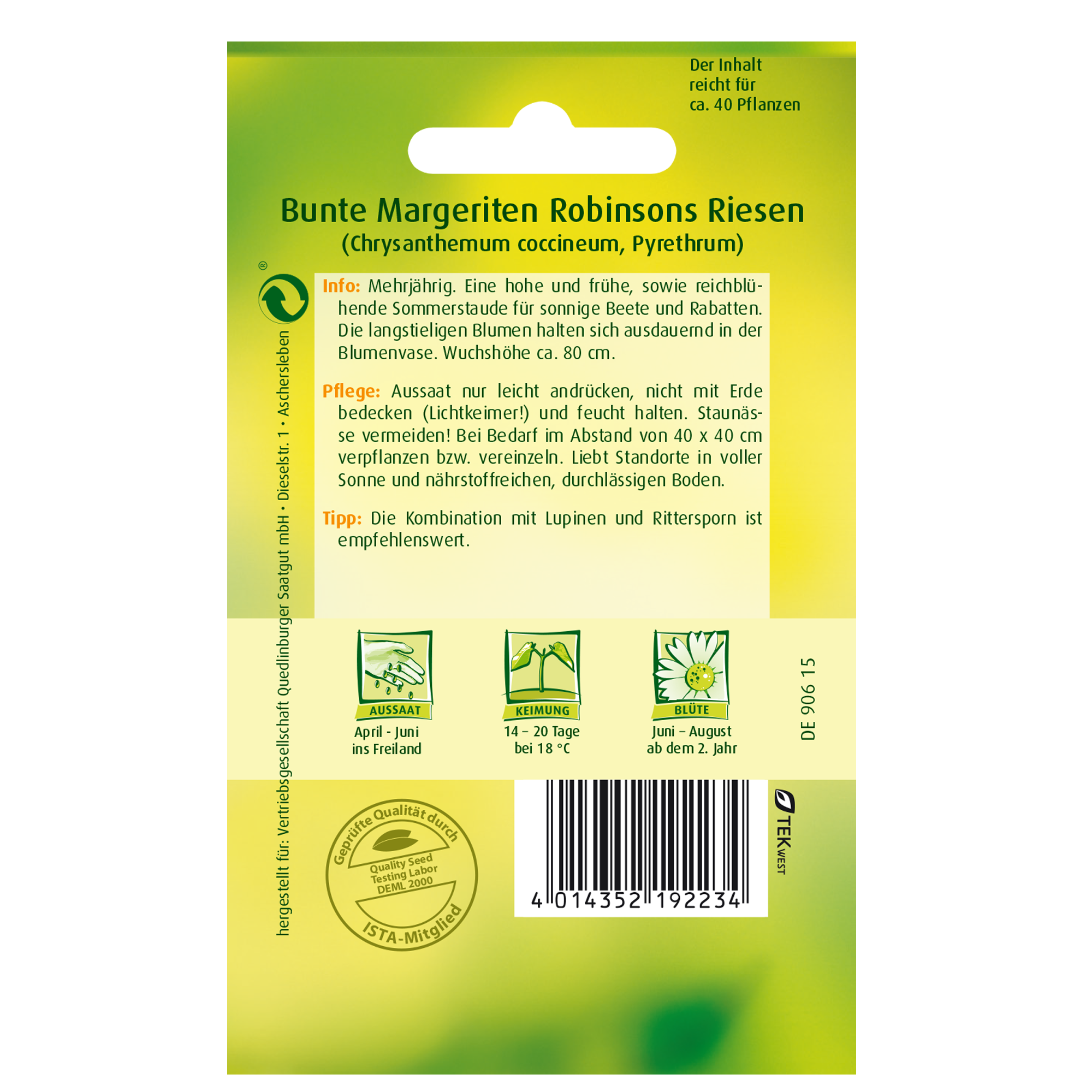 Bunte Margeriten 'Robinsons Riesen' + product picture