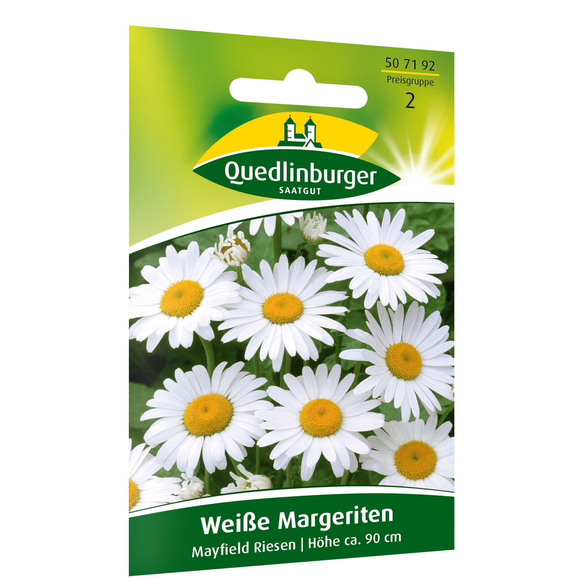 Weiße Margeriten Mayfield Riesen, Höhe ca. 90 cm