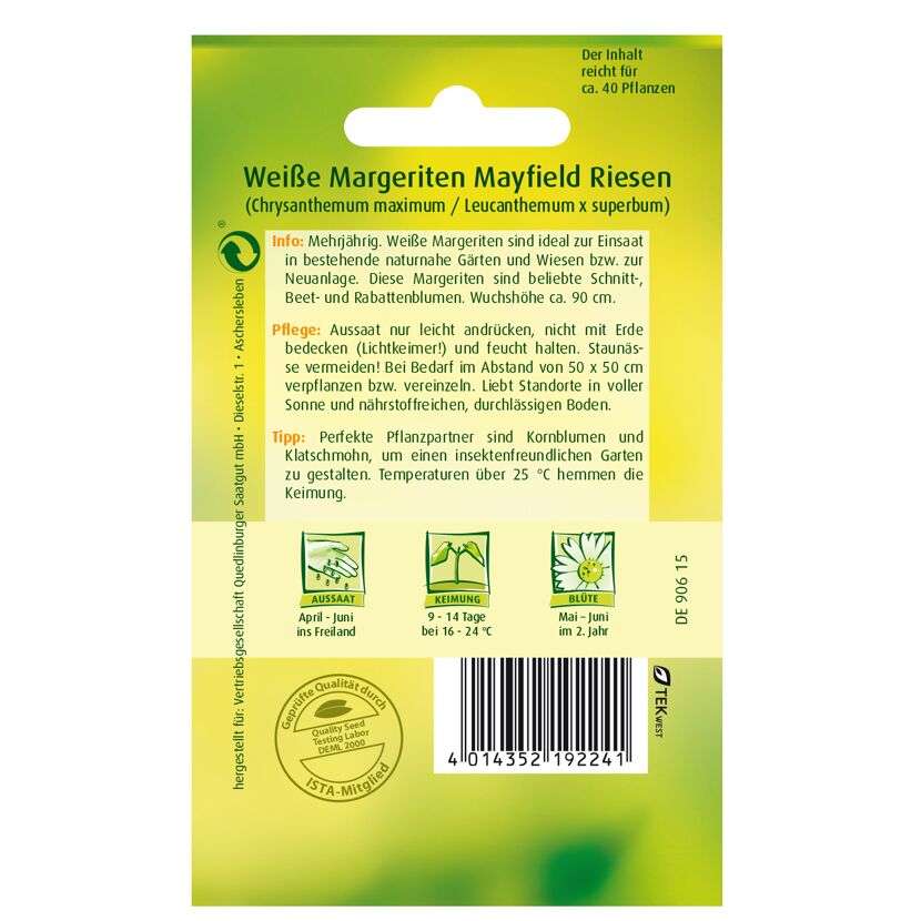 Weiße Margeriten Mayfield Riesen Samen