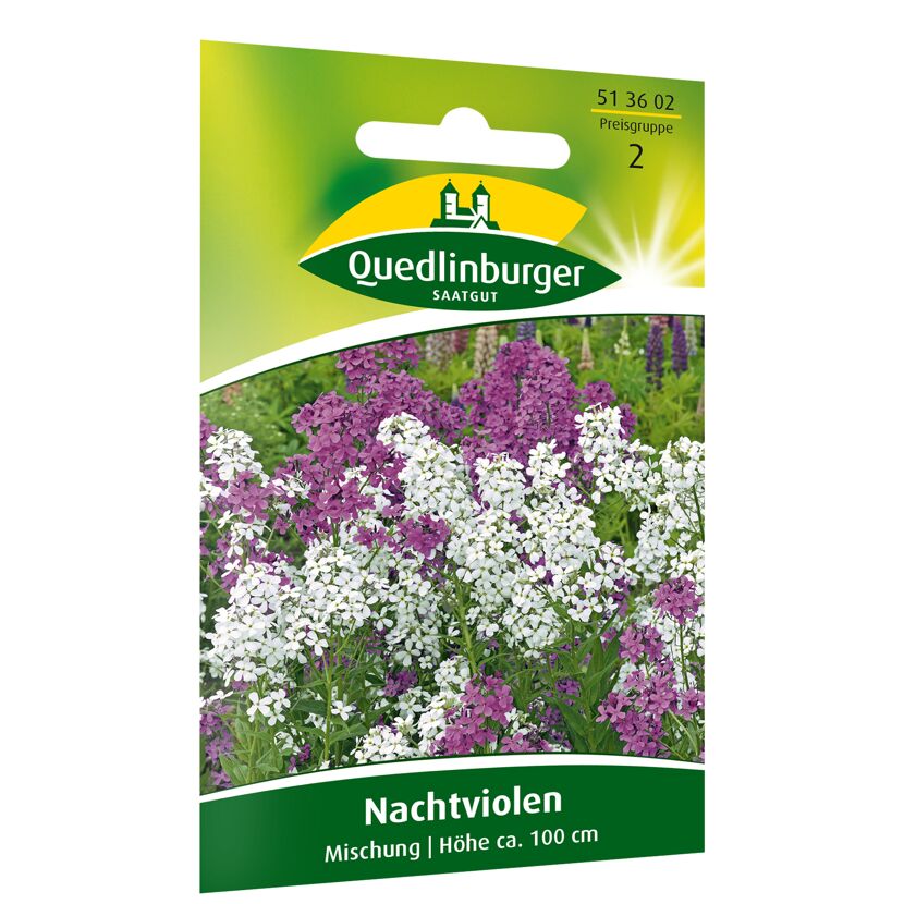 Nachtviolen Mischung