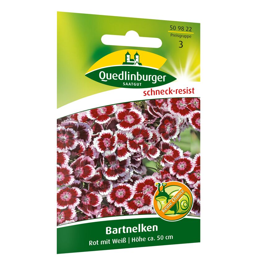 Bartnelken rot-weiß, Saatgutpackung von Quedlinburger