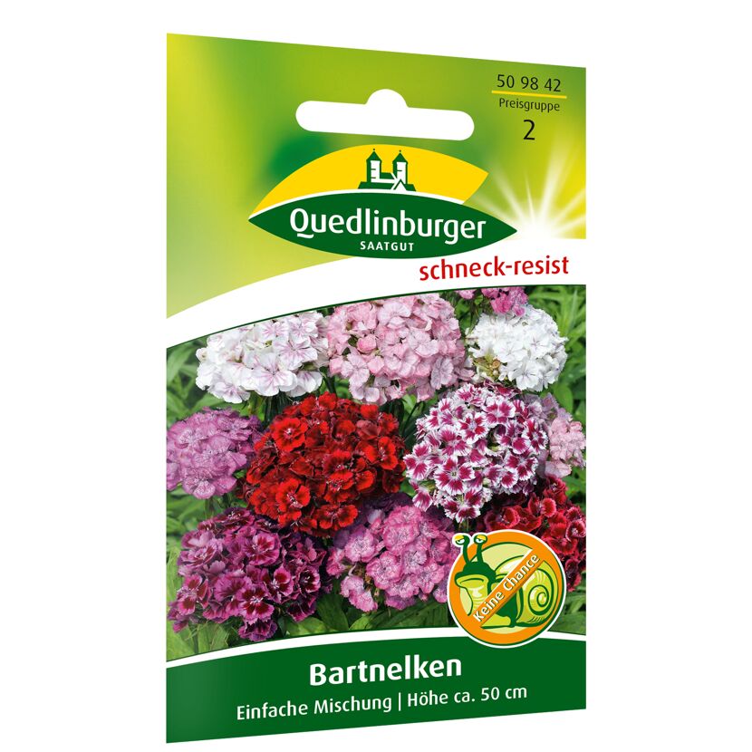 Samenpackung Bartnelken, einfach Mischung, Höhe ca. 50 cm, schneckenresistent