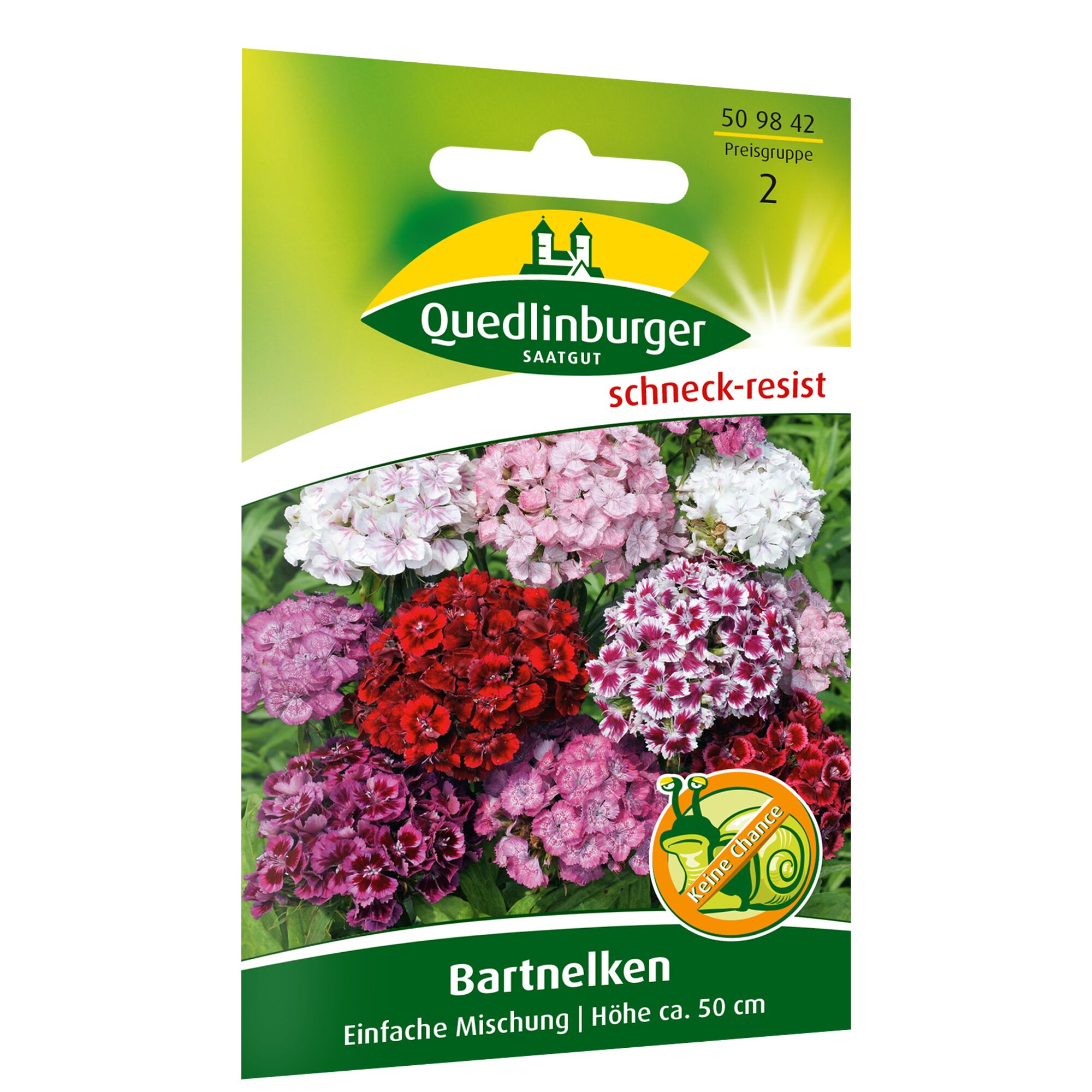 Samenpackung Bartnelken, einfach Mischung, Höhe ca. 50 cm, schneckenresistent