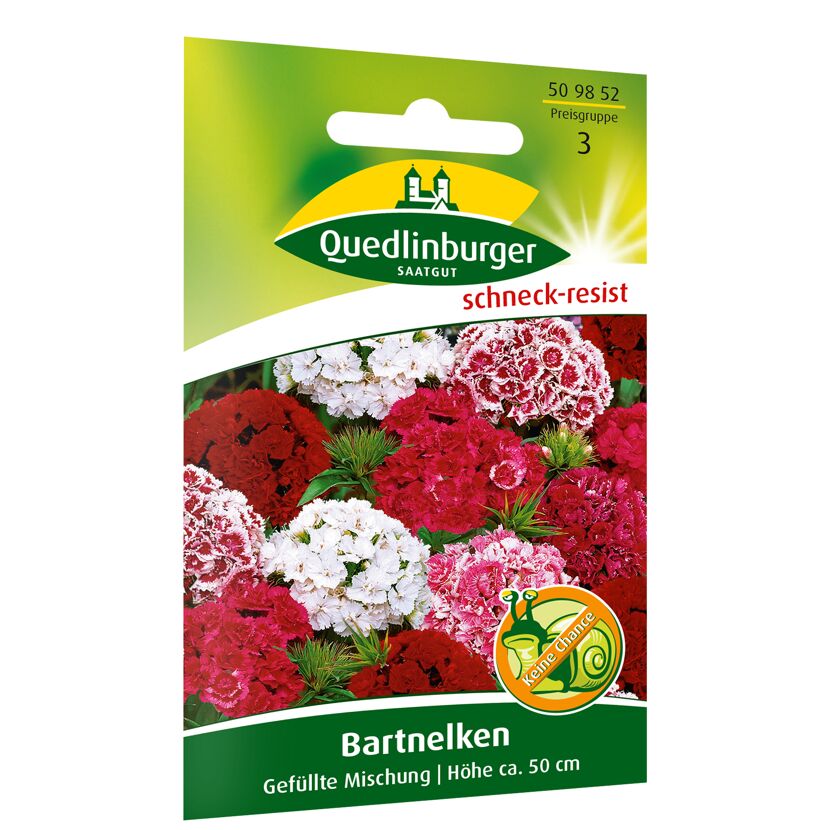 Samenpackung Quedlinburger Bartnelken