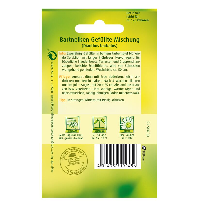 Bartnelken gefüllte Mischung Samenpackung