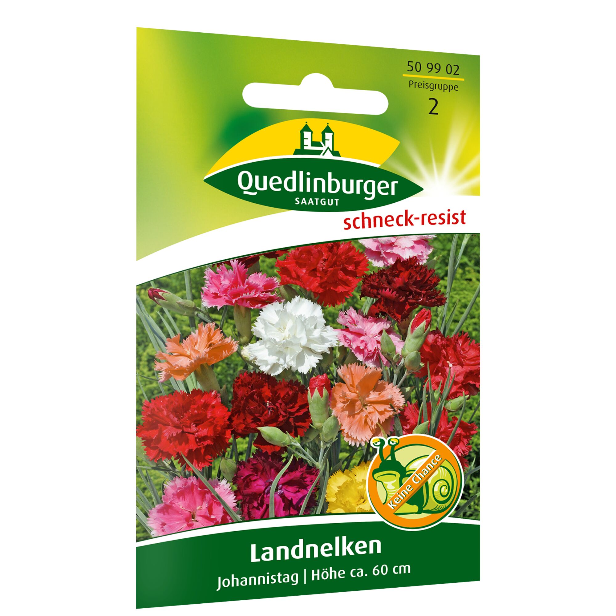 Samenpackung Landnelken Johannistag