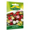 hauptbild