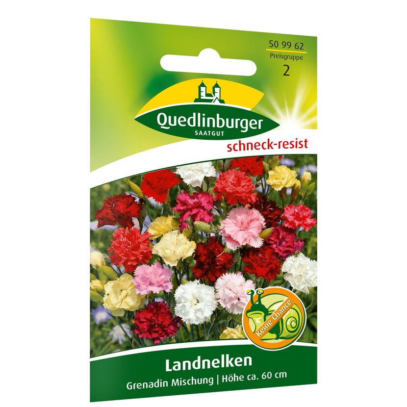 Landnelken 'Grenadin' Mischung