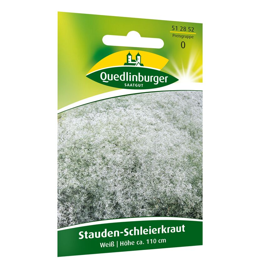 Staudenschleierkraut weiß
