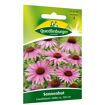hauptbild