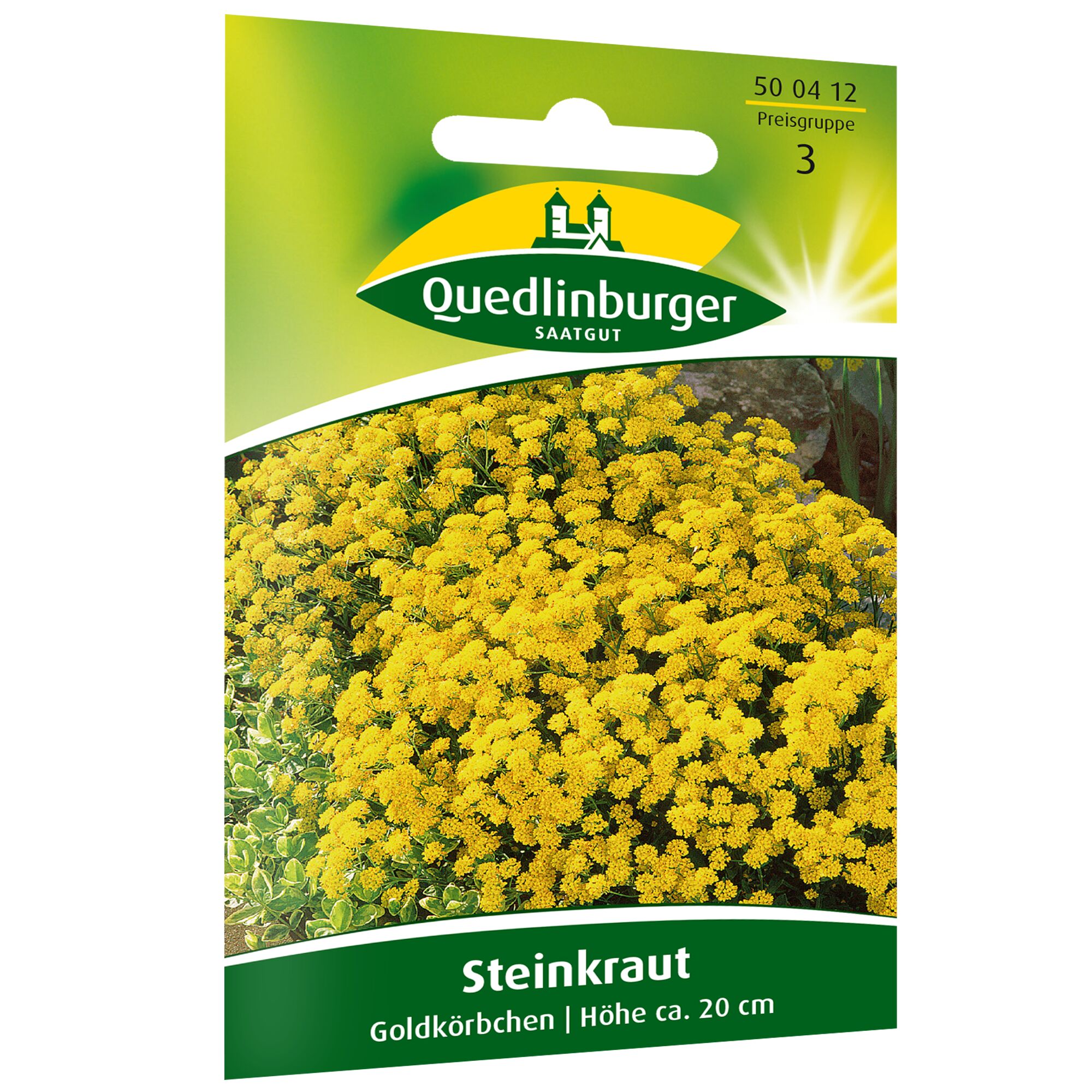 Steinkraut Goldkörbchen, Höhe ca. 20 cm