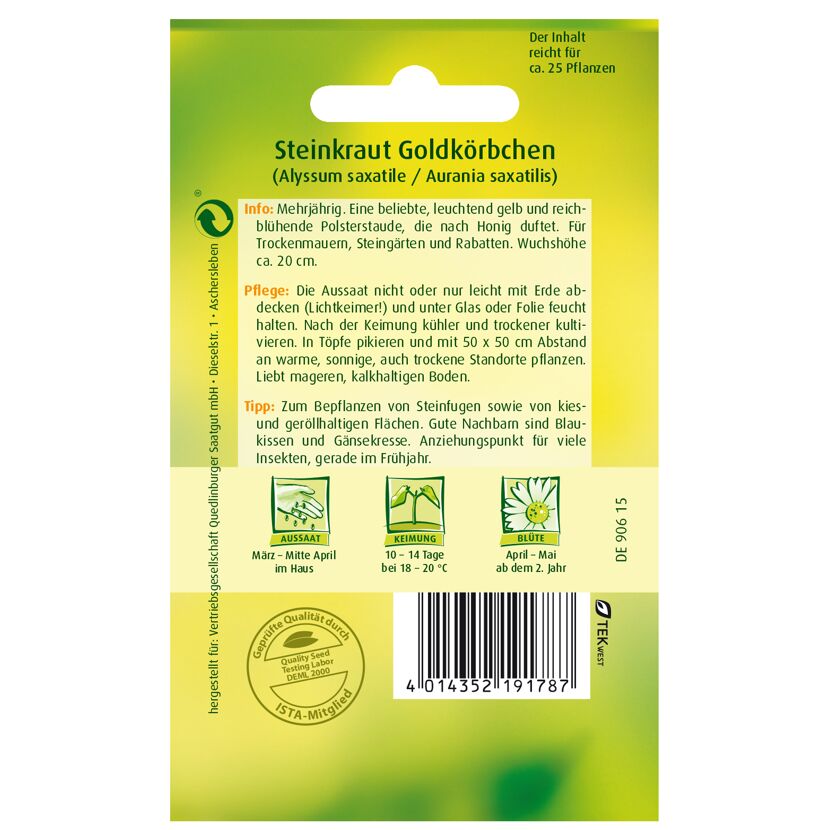 Steinkraut Goldkörbchen, Aussaat, Keimung, Blüte
