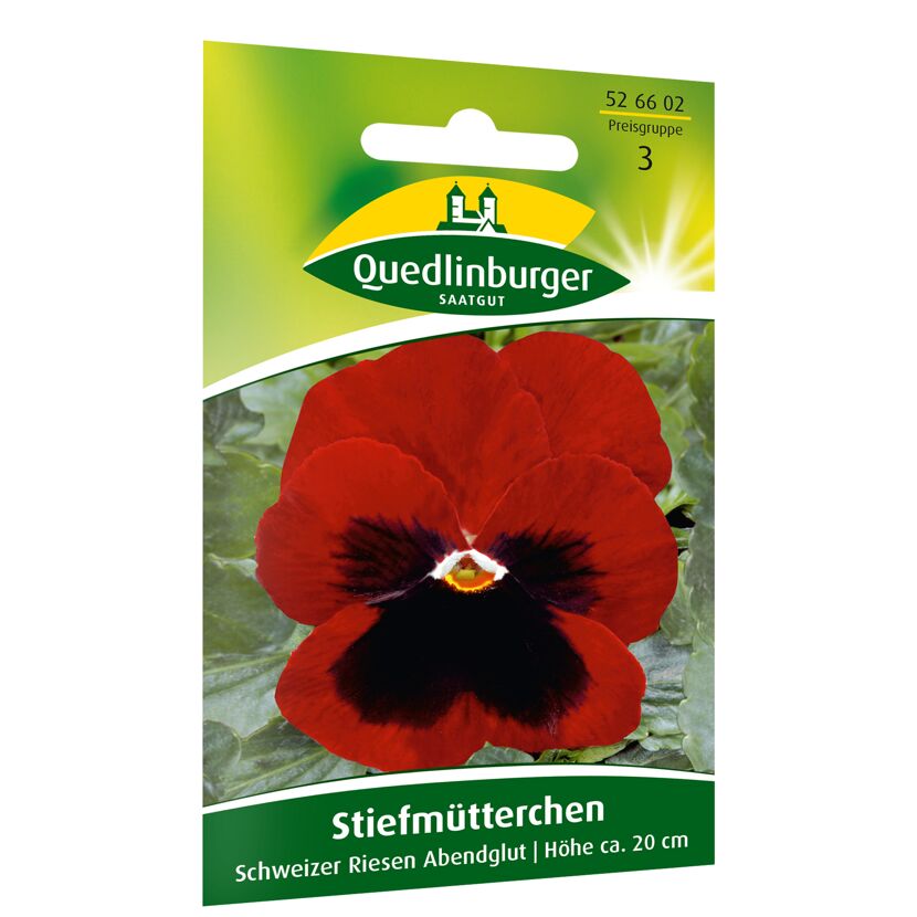 Stiefmütterchen 'Schweizer Riese Abendglut'