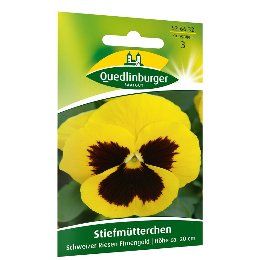 Stiefmütterchen Schweizer Riesen Firnengold