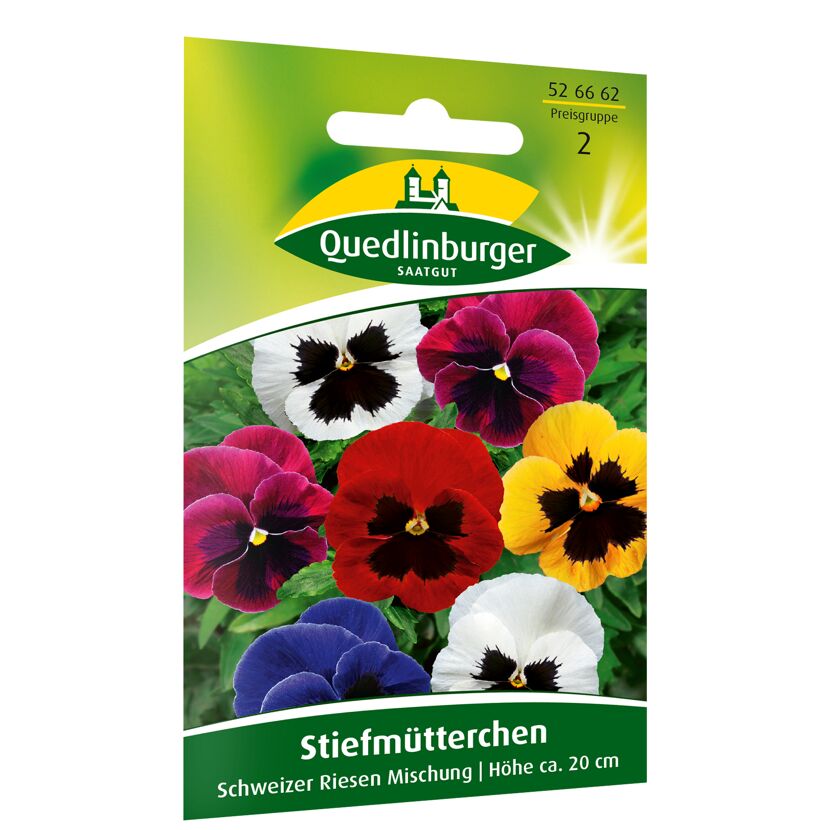 Stiefmütterchen Schweizer Riesen Mischung