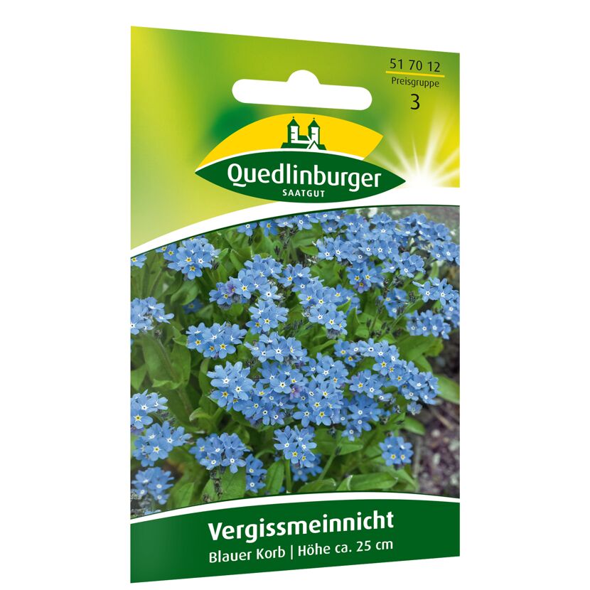 Vergissmeinnicht 'Blauer Korb'