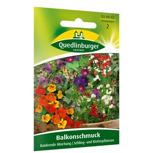 Blumenmischung 'Balkonschmuck' rankend