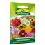 Quedlinburger Sommerblumen Saatgut