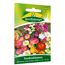 Blumenmischung 'Trockenblumen'