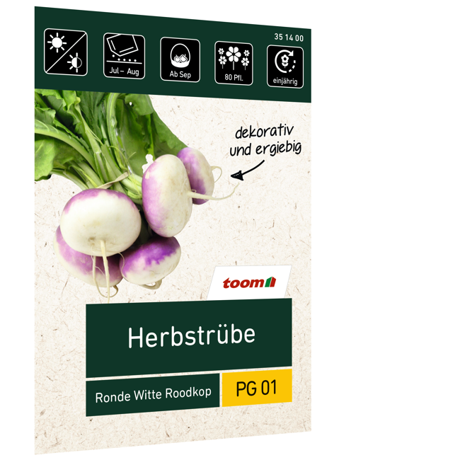 Bild von Herbstrübe 'Ronde Witte Roodkop'
