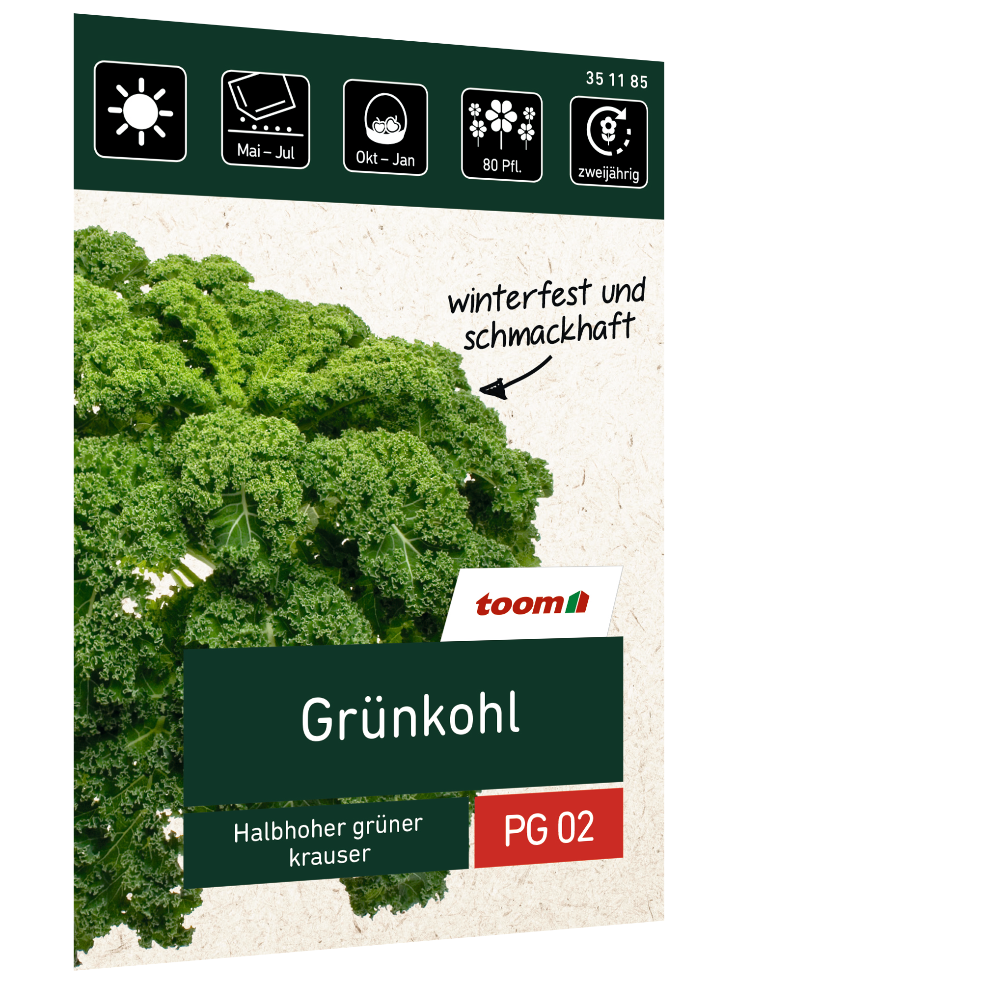 Grünkohl 'Halbhoher grüner krauser' + product picture