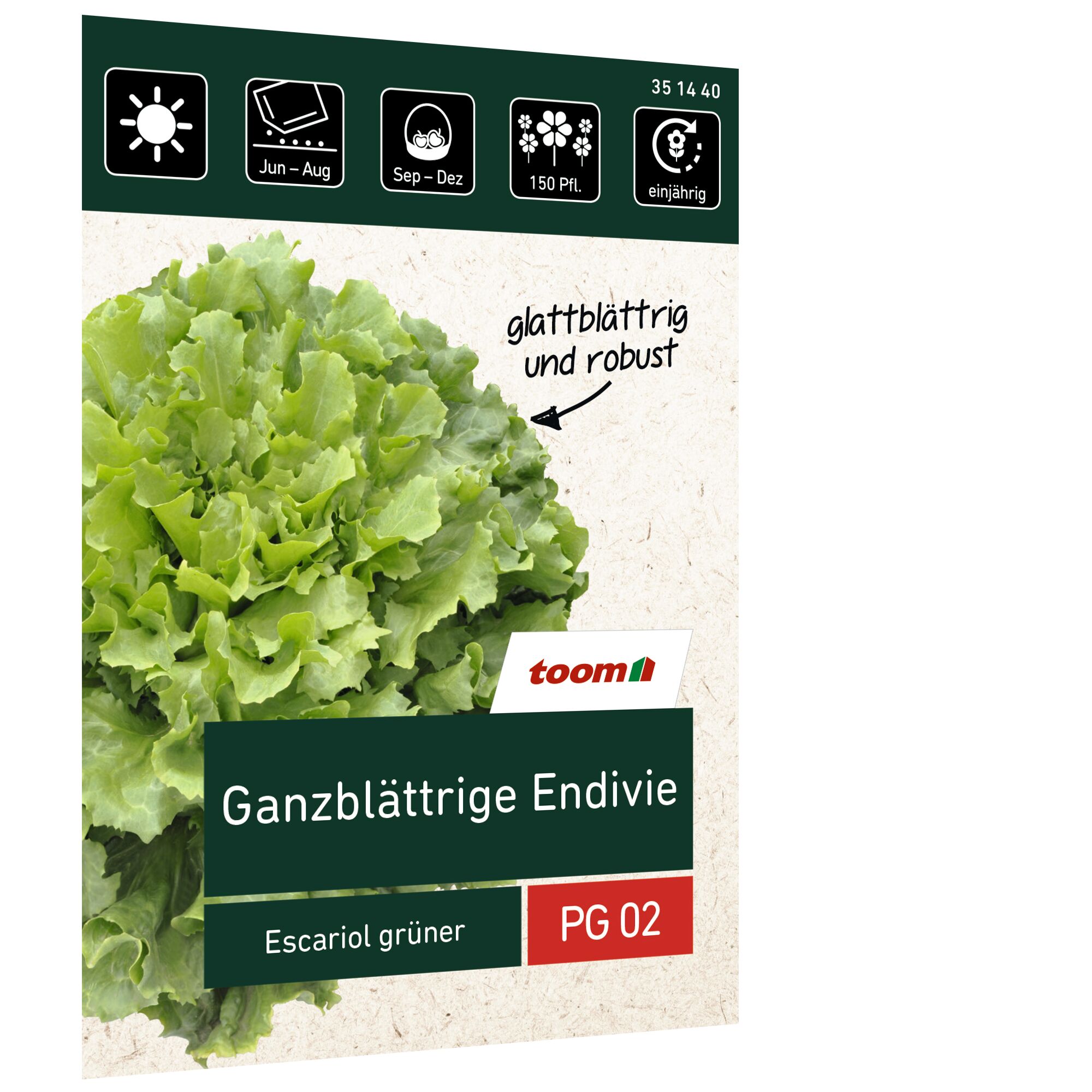 Ganzblättrige Endivie Escariol grüner