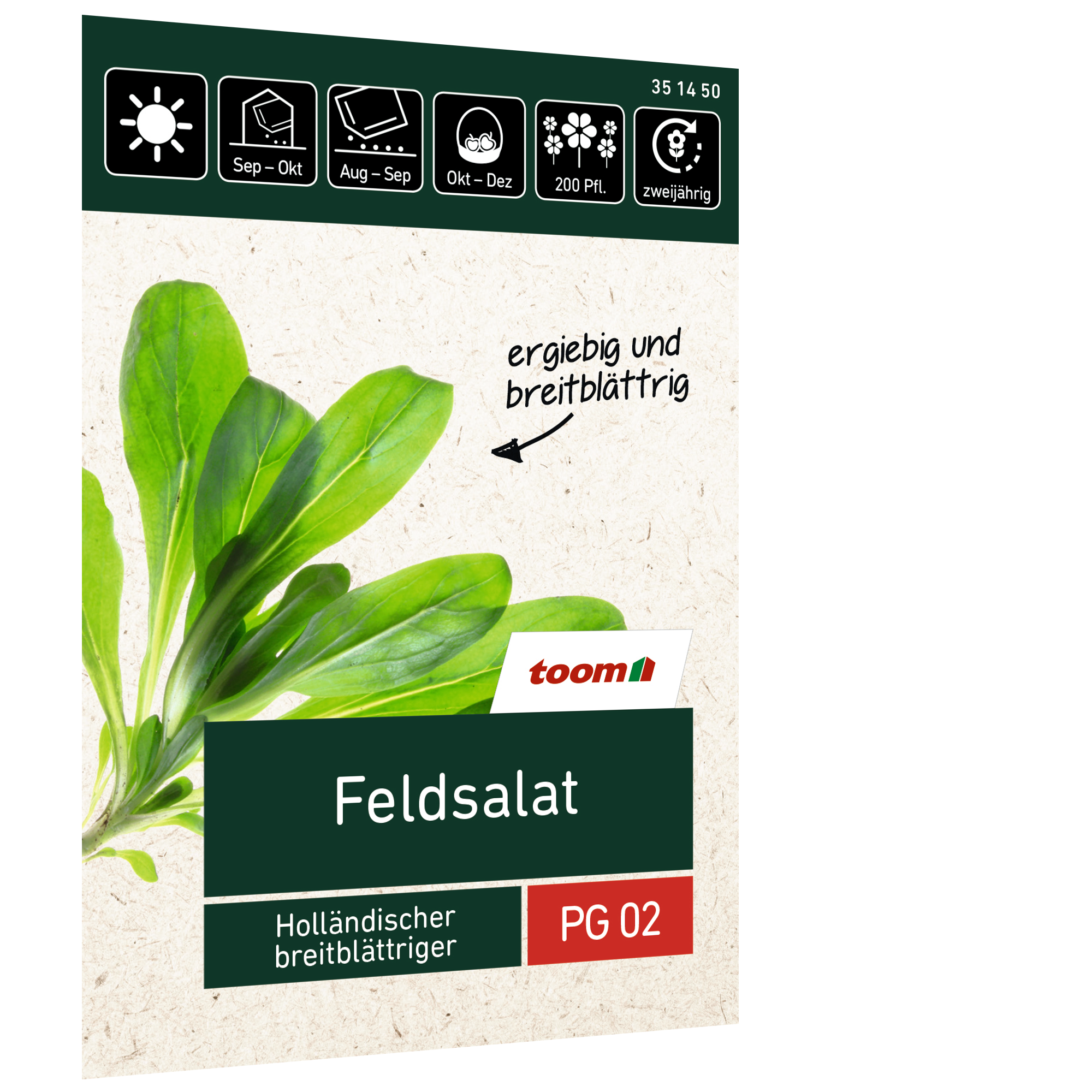 Feldsalat 'Holländischer breitblättriger' + product picture
