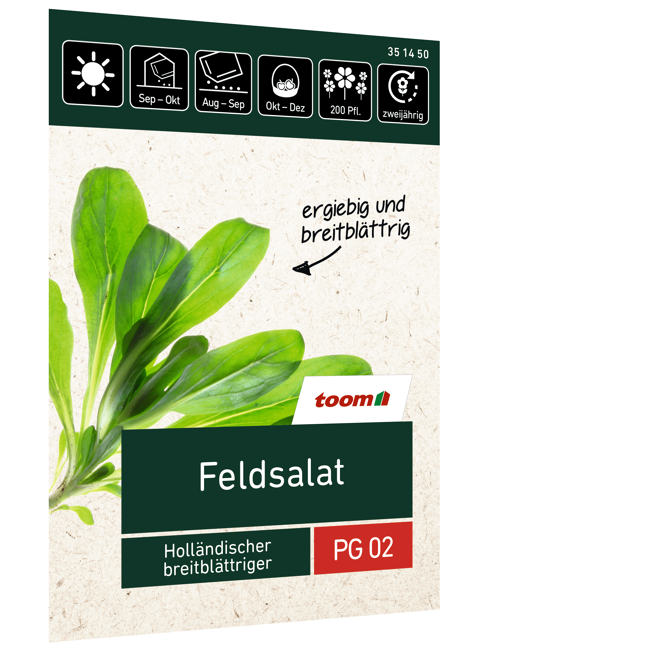 Bild von Feldsalat 'Holländischer breitblättriger'
