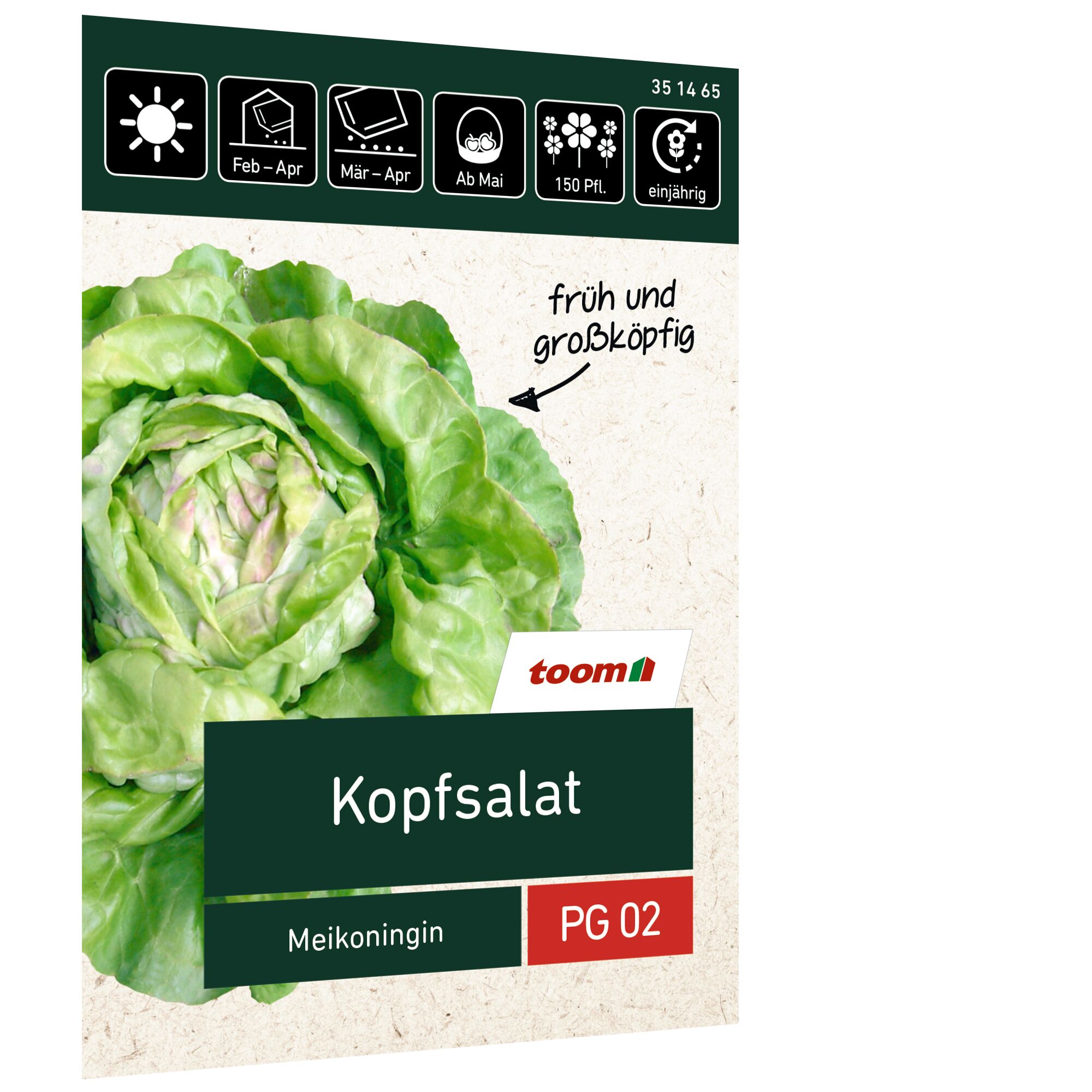 Kopfsalat Meikoningin von Toom