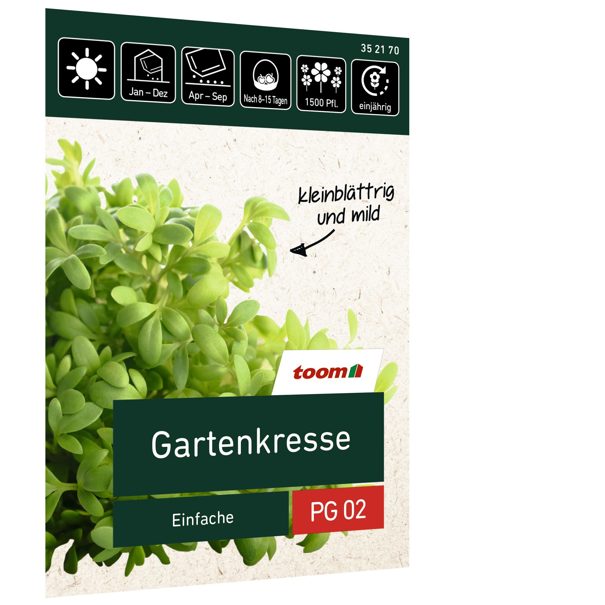 Gartenkresse Samen
