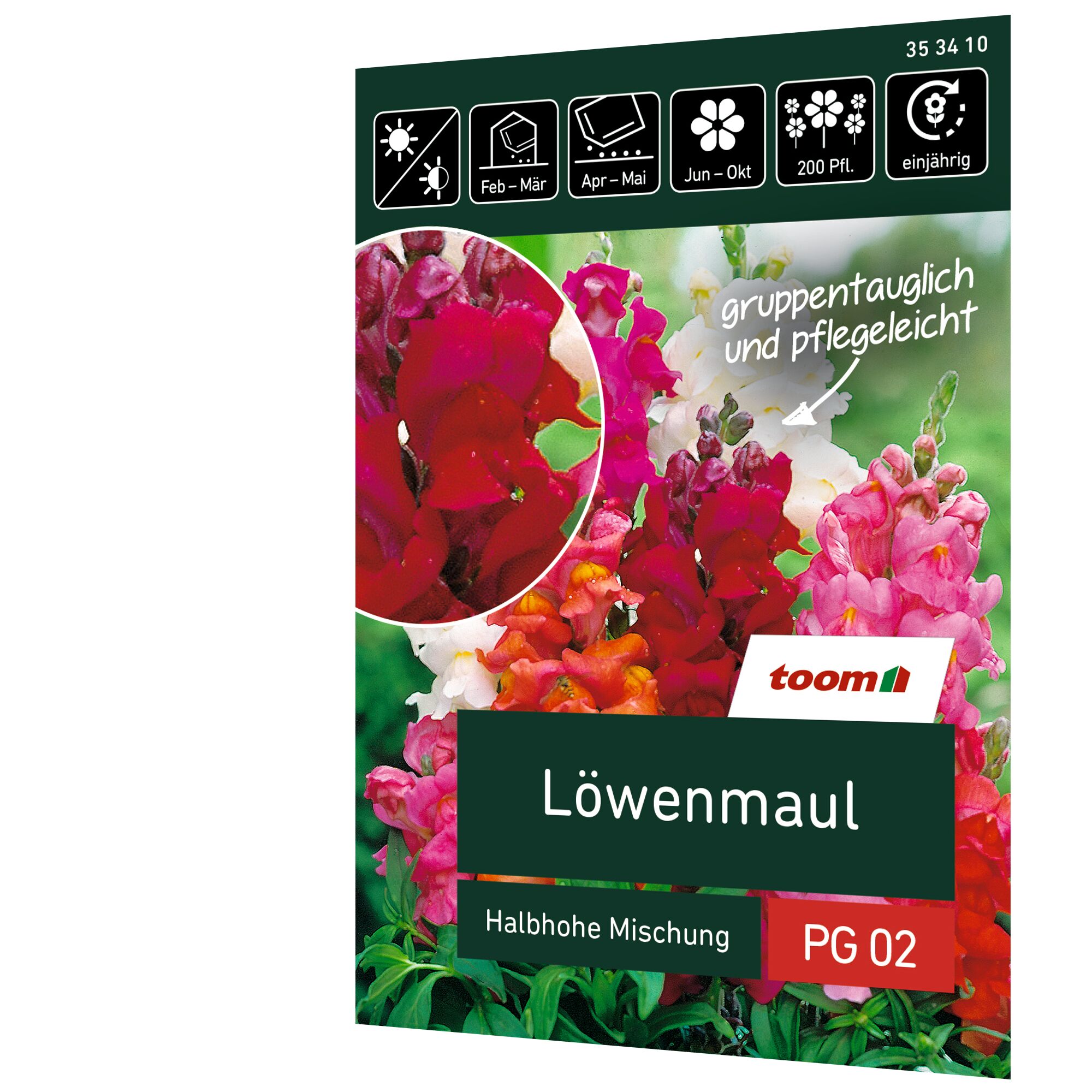 Löwenmaul Samen halbhohe Mischung