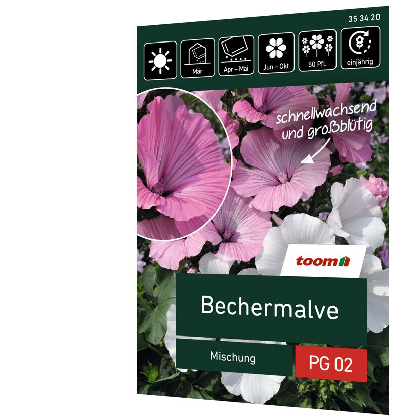 Bechermalve 'Mischung'