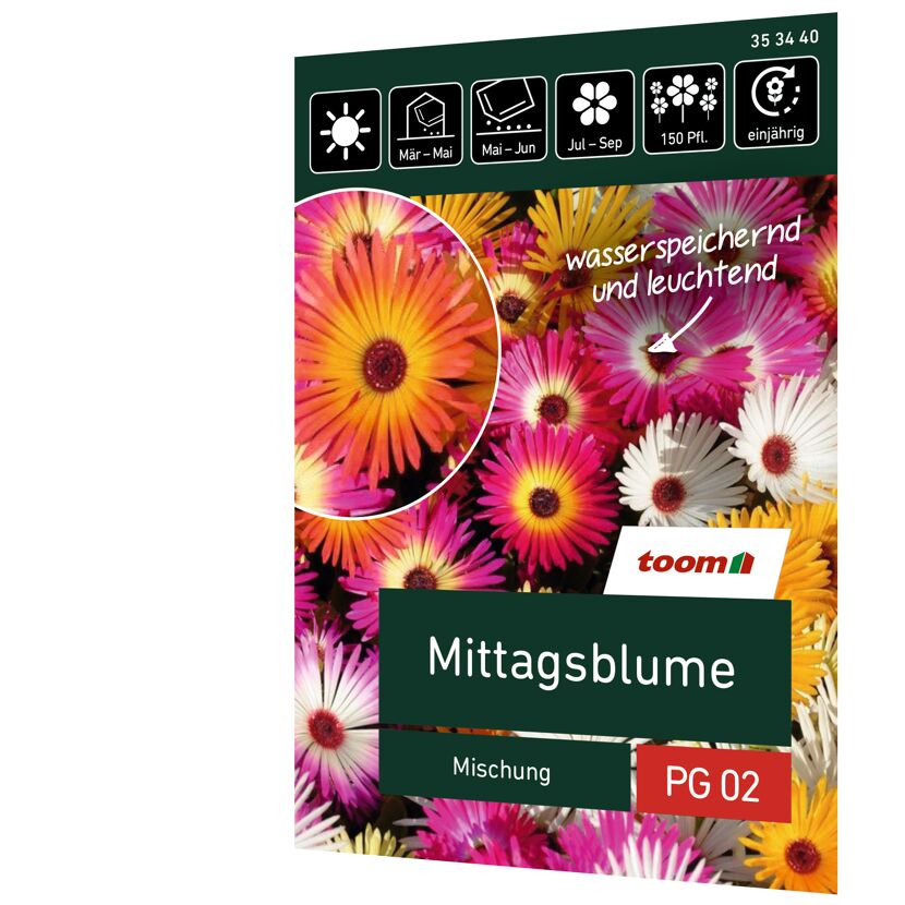 Bunte Mischung von Mittagsblumen
