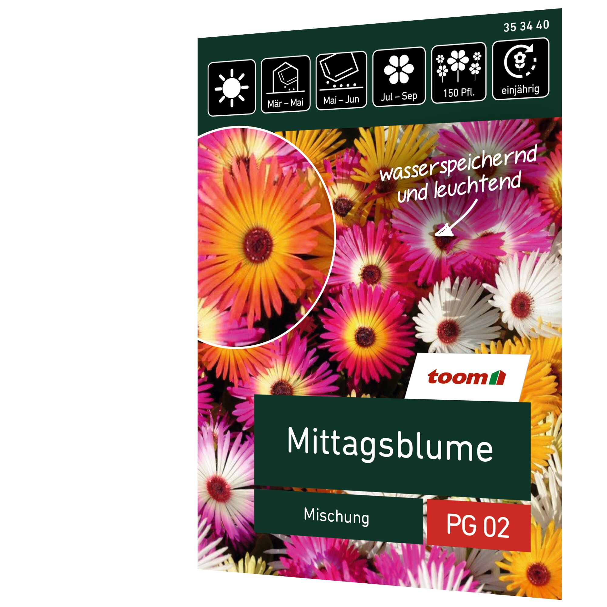 Bunte Mischung von Mittagsblumen