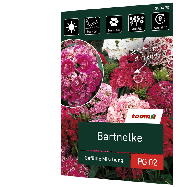 Bild von Bartnelke 'Gefüllte Mischung'