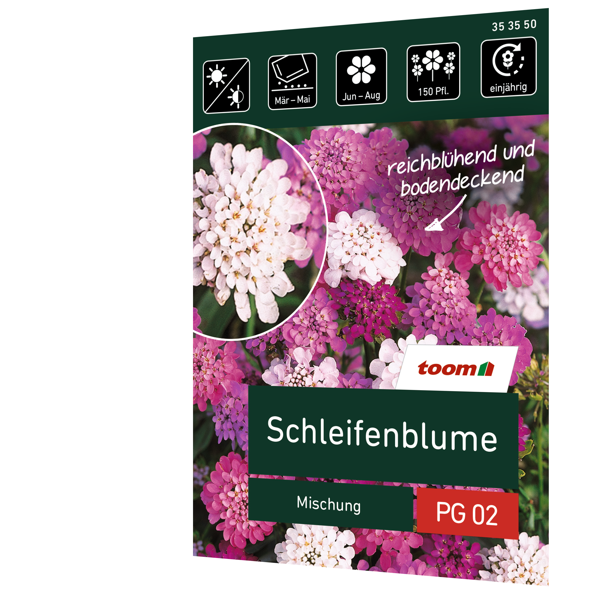 Schleifenblume 'Mischung' + product picture