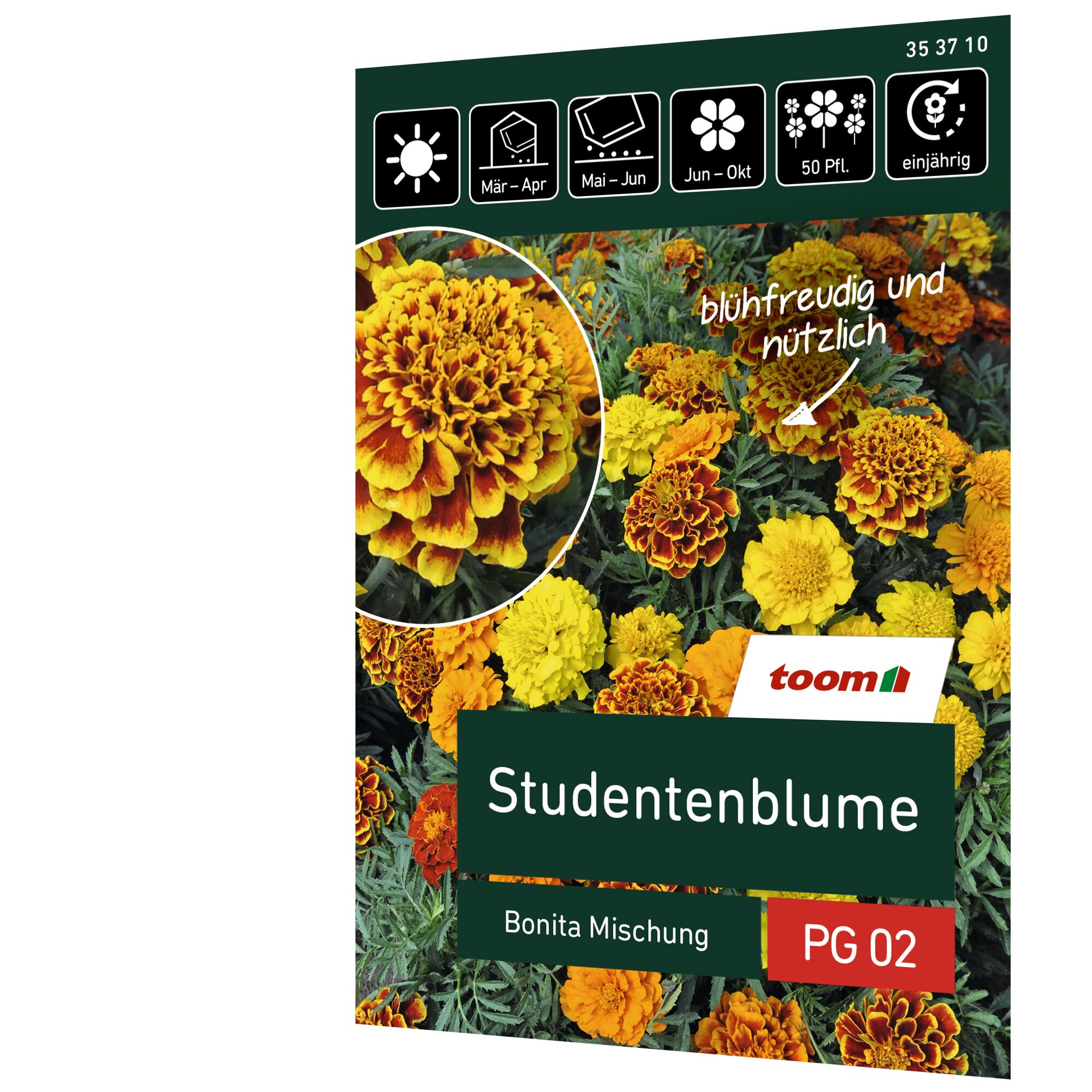 Studentenblume Bonita Mischung