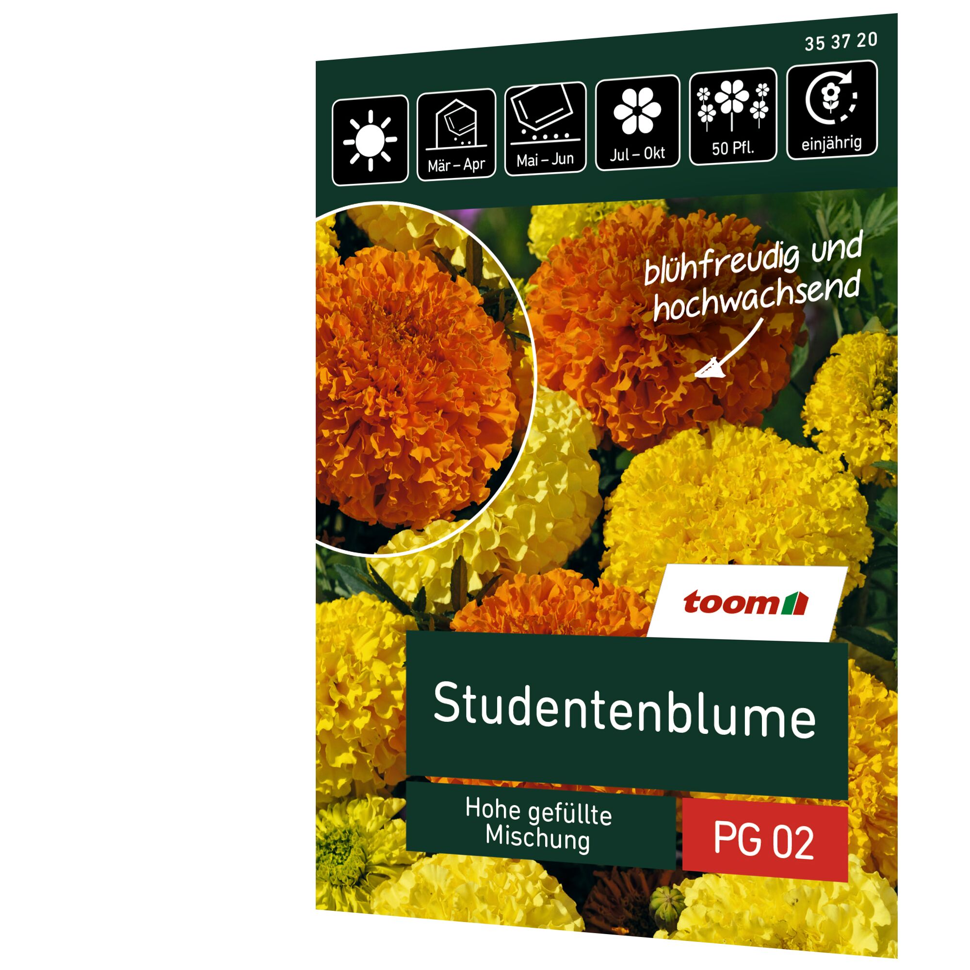 Studentenblume, hohe gefüllte Mischung
