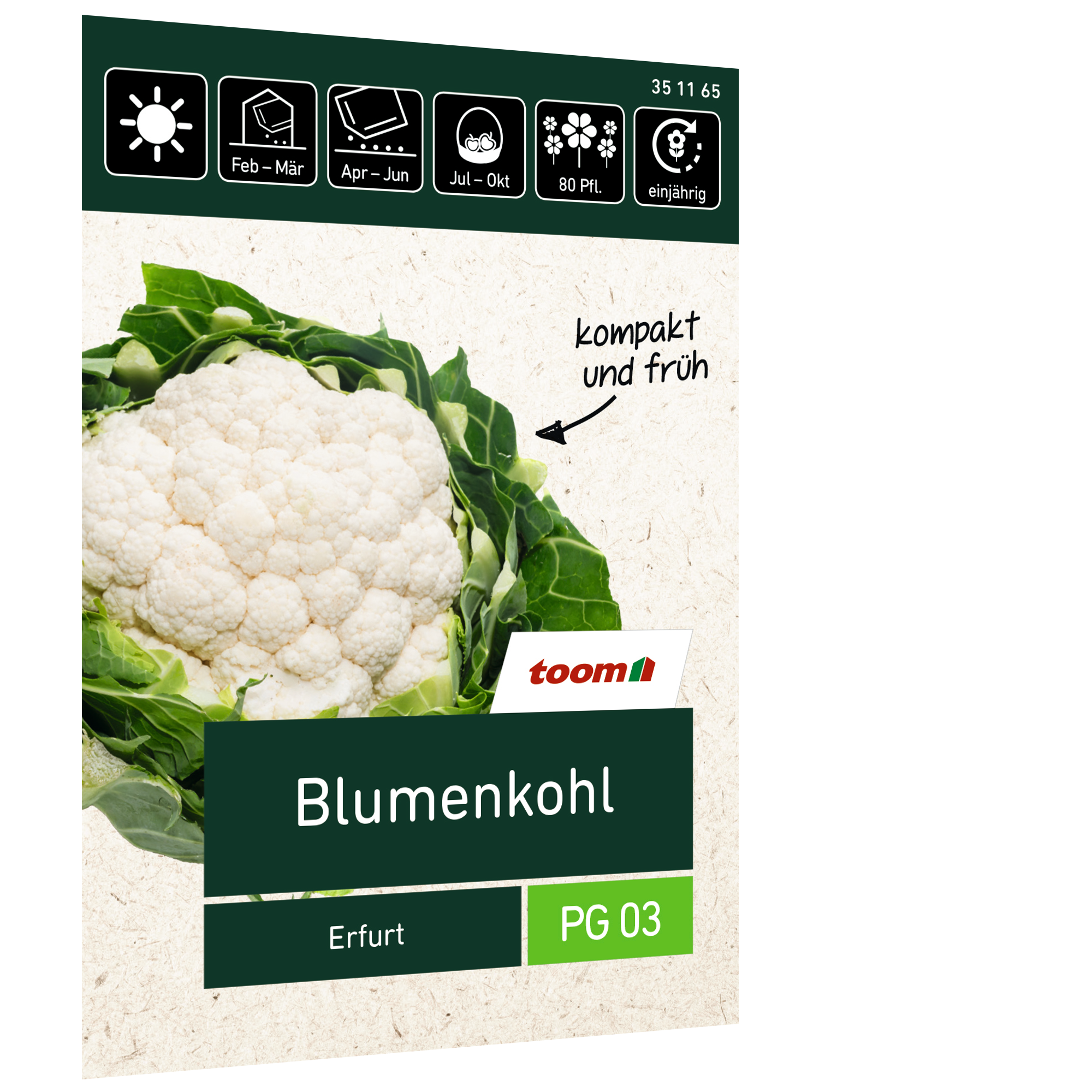 Blumenkohl 'Erfurt' + product picture