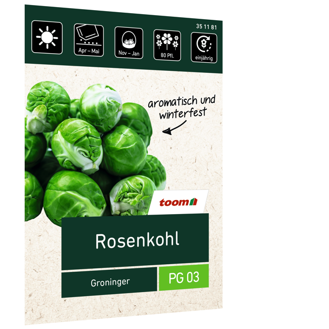 Bild von Rosenkohl 'Groninger'