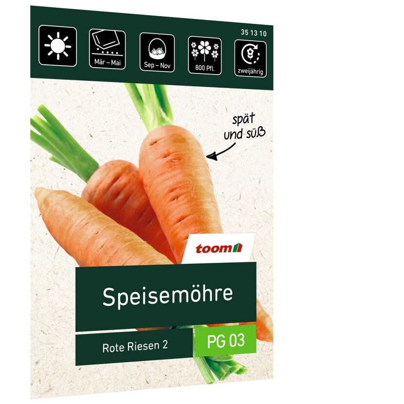 Speisemöhre Rote Riesen 2