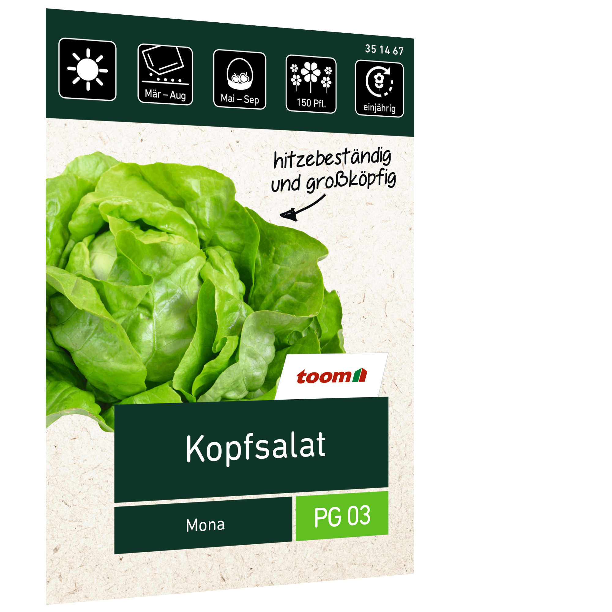 Kopfsalat 'Mona' + product picture
