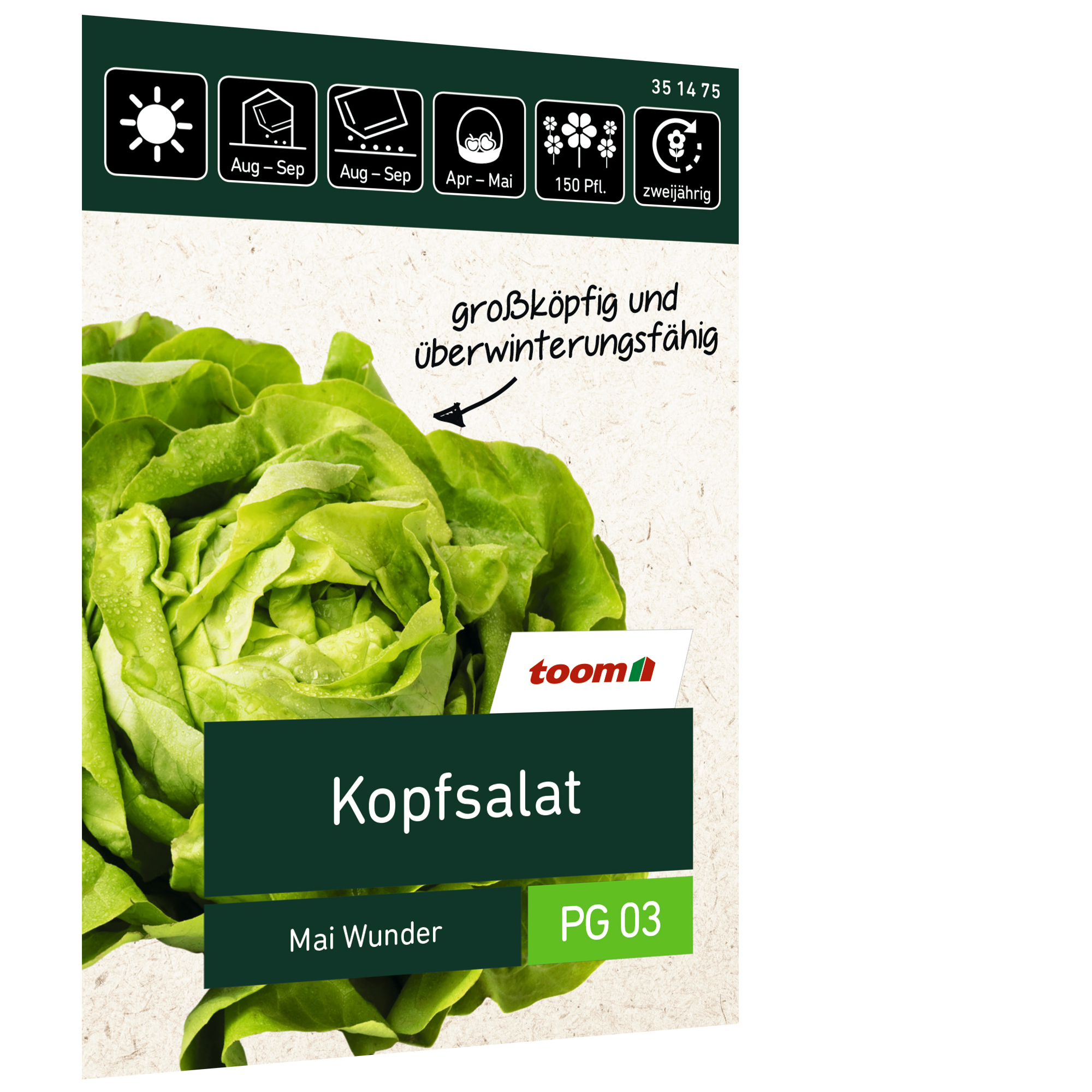 Kopfsalat 'Mai Wunder' + product picture