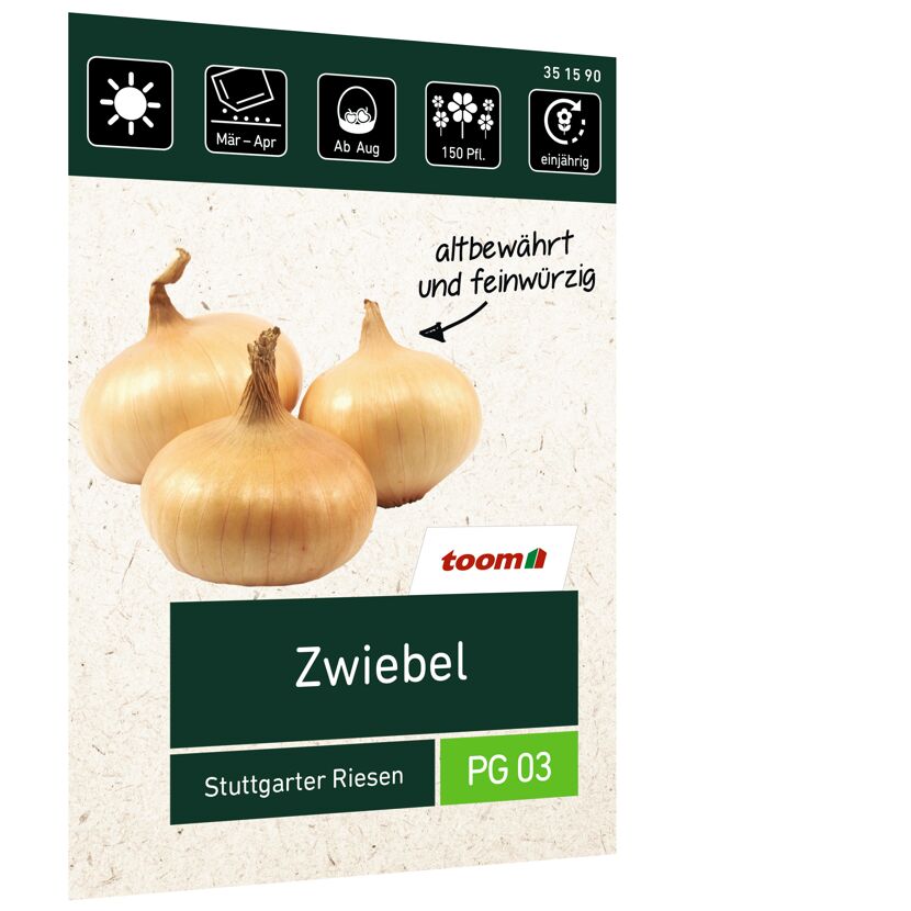 Zwiebel 'Stuttgarter Riesen'