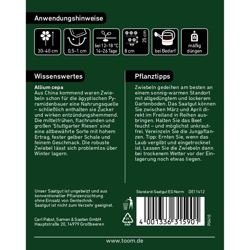 Zwiebel 'Stuttgarter Riesen'