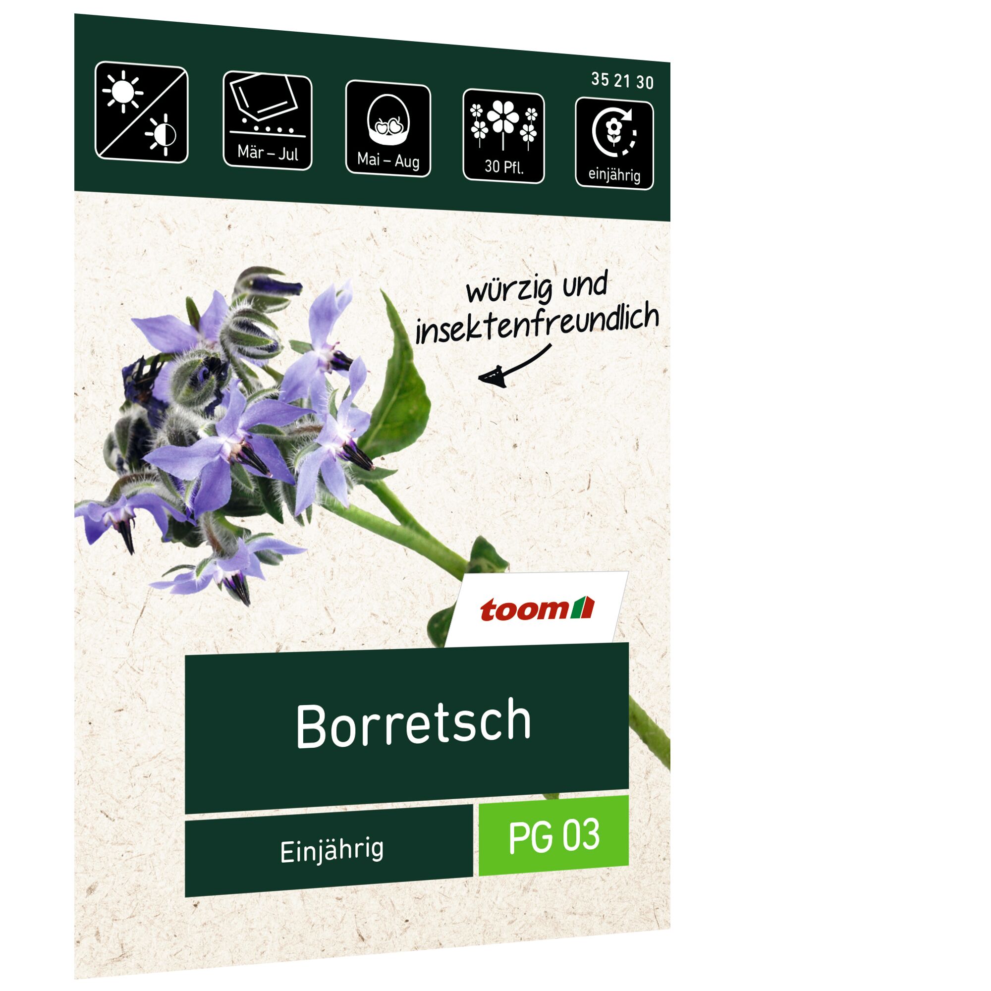 Borretsch, würzig und insektenfreundlich, toom