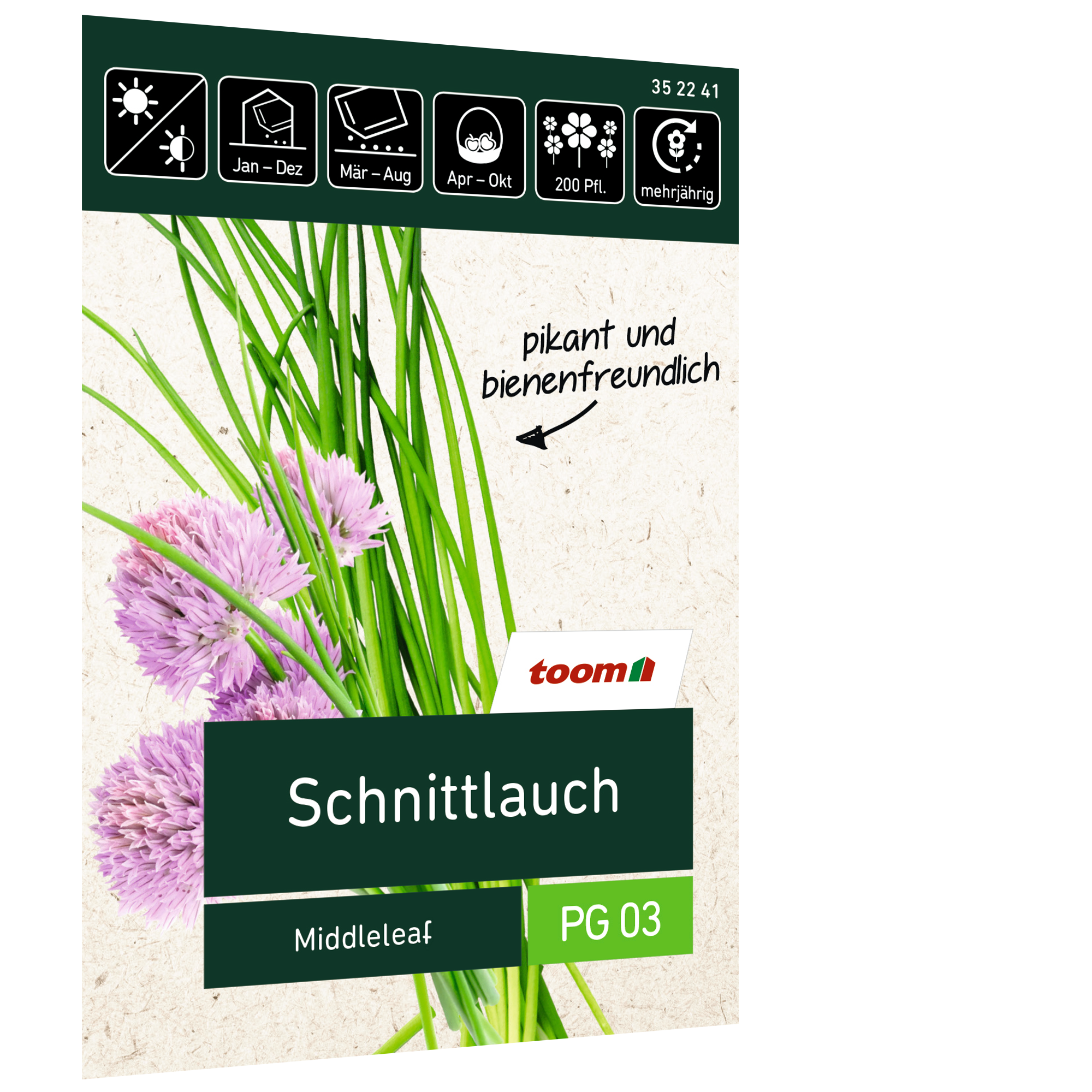 Schnittlauch 'Middleleaf' + product picture