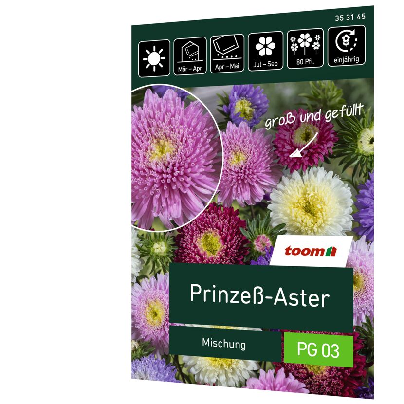 Toom Prinzeß-Aster Mischung, verschiedene Farben